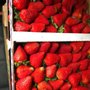 Photo of Giammanco & Sons Produce