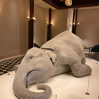The Butterfly Room - Cafes Near Me - Hong Kong, HK