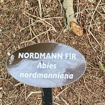 Westerly Library and Wilcox Park - Example of arboretum identification - Parks Near Me - Westerly, Rhode Island