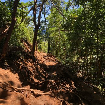 Queen's Bath - Roots on trail - Landmarks & Historical Buildings Near Me - Princeville, Hawaii