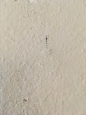 The Huntington by null