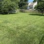 Photo of Kdawg Mows