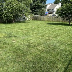 Kdawg Mows