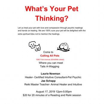 Calling All Pets - This will be held several more times! Stop by and see about future days and time - Pet Stores Near Me - New York, New York Calling All Pets - This will be held several more times! Stop by and see about future days and time - Pet Stores Near Me - New York, New York