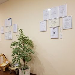 Hausärztliches Zentrum - Urkunden und Teilnahmebestätigungen