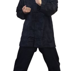 David Gallaher's Gung Fu Institute - A photo of Sigung Gallaher performing Siu Nim Tao Form