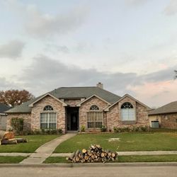 Tree Service Of Mobile - After the trees are down