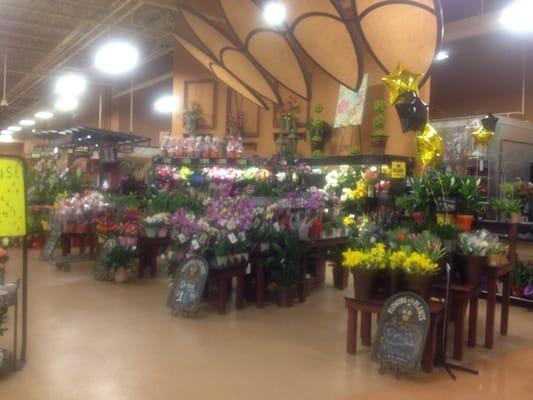 Dillons by null