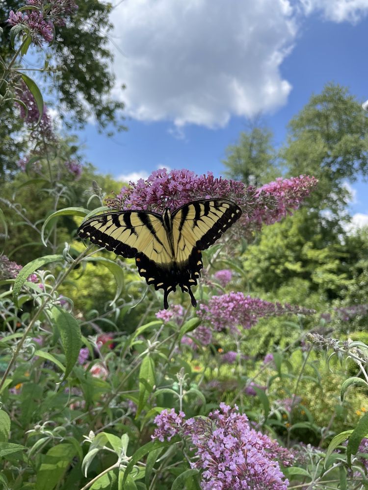 SUSQUEHANNA SPORTS PLACE Updated June 2024 17 Commerce Ave