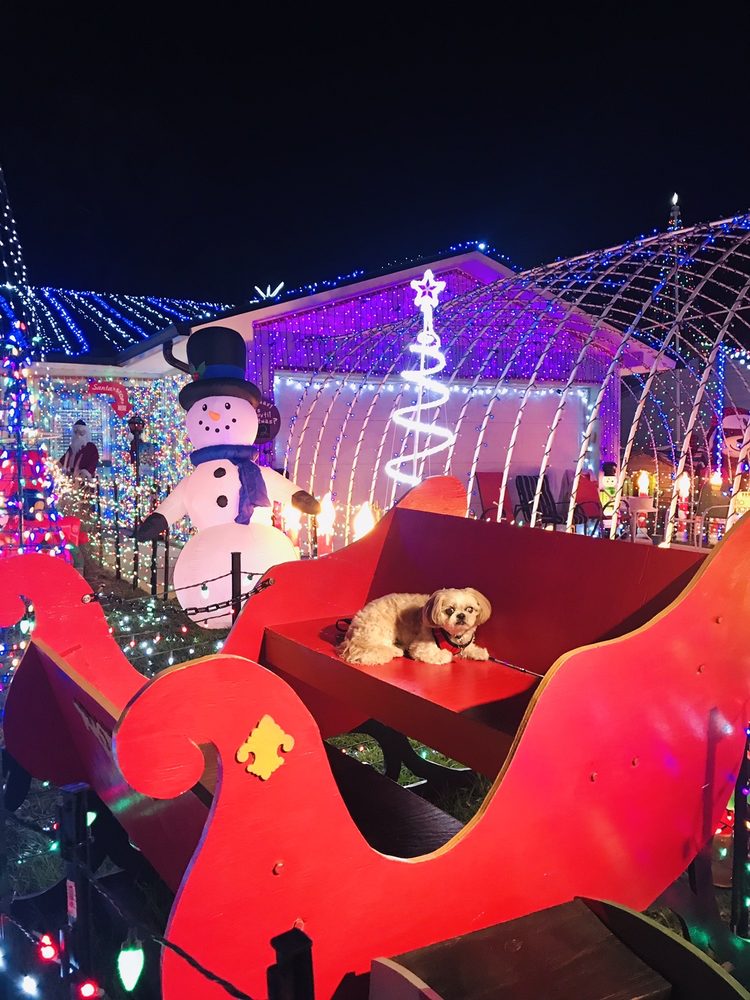 THE FYE’S CRAZY CHRISTMAS HOUSE Updated September 2024 407 Eagle