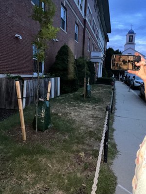 Spellbound Tours by null