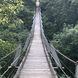 Lovers Leap Swinging Bridge - Bridge