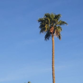Polanco - Apartments Near Me - Scottsdale, Arizona Polanco - Apartments Near Me - Scottsdale, Arizona