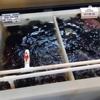Quality Seafood - Seafood Markets Near Me - Redondo Beach, California Quality Seafood - Seafood Markets Near Me - Redondo Beach, California