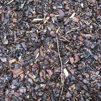 Sand'N Soil - What actually arrived as organic garden soil - not as advertised - Building Supplies Near Me - New Orleans, Louisiana Sand'N Soil - What actually arrived as organic garden soil - not as advertised - Building Supplies Near Me - New Orleans, Louisiana