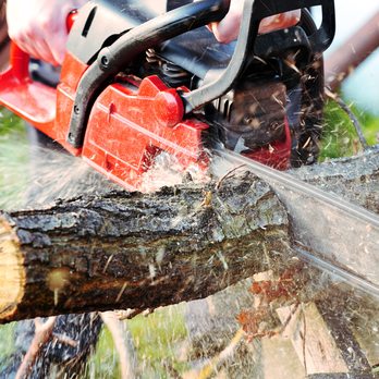 Marshall’s Tree Service And Landscaping - a chainsaw - Tree Services Near Me - Davie, Florida Marshall’s Tree Service And Landscaping - a chainsaw - Tree Services Near Me - Davie, Florida