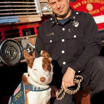 Pawsitive Results Dog Training - K9 Angus - SFFD's 1st search dog, FEMA certified for disaster response. - Pet Training Near Me