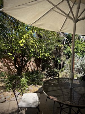 Tohono Chul Bistro by null