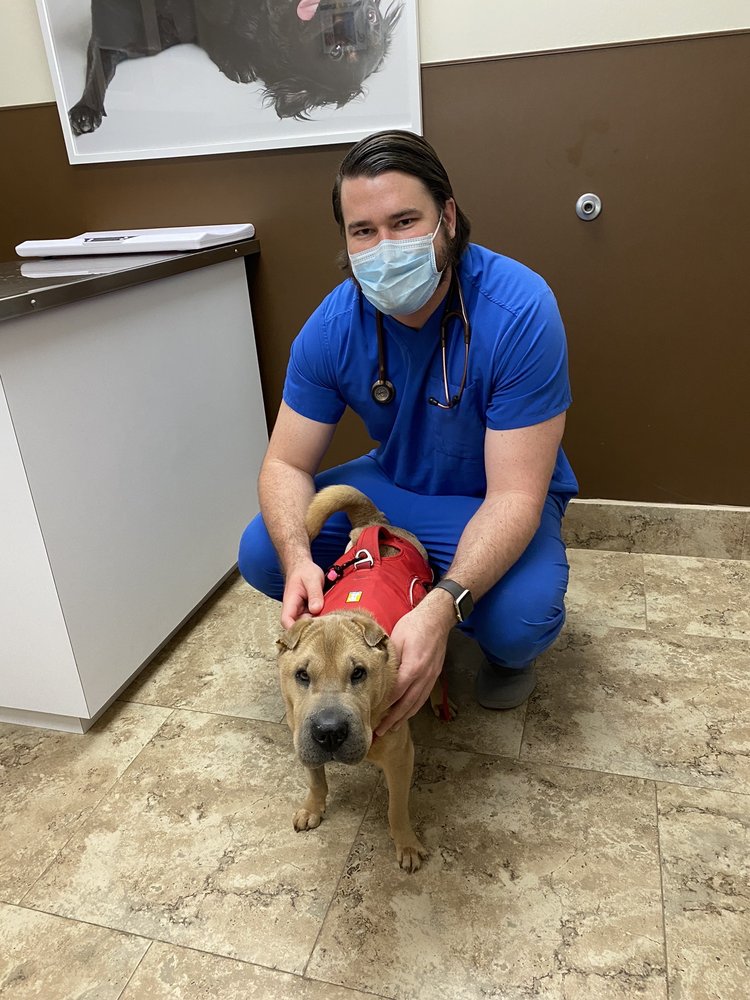 CROSS CREEK VETERINARY HOSPITAL Updated October 2024 29 Photos & 62 Reviews 4611 Fm 1463