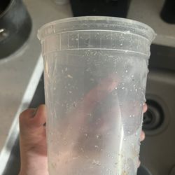 The Oldwick Soup Company - The small container