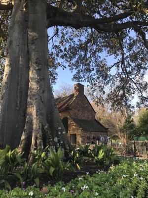 Fitzroy Gardens by null