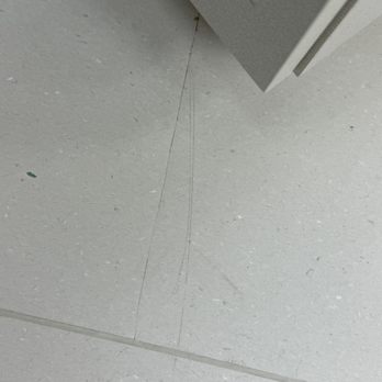 Nathan's Carpet - Gouges are everywhere. This is one of the lesser visible areas. - Carpet Installation Near Me - Miami, Florida Nathan's Carpet - Gouges are everywhere. This is one of the lesser visible areas. - Carpet Installation Near Me - Miami, Florida