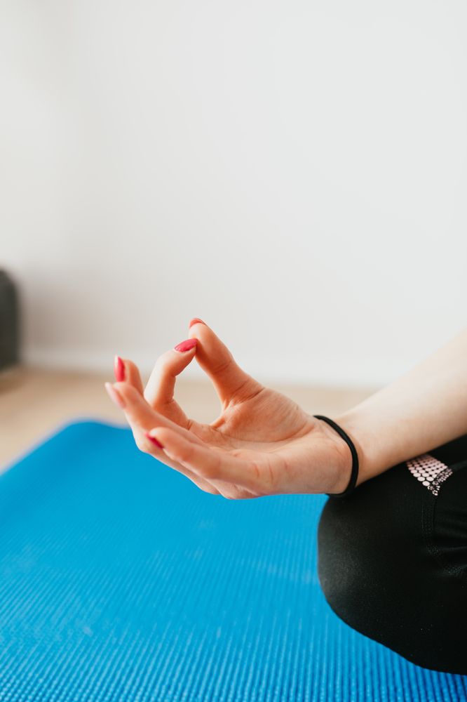 Dedebee Yoga Therapy Logo