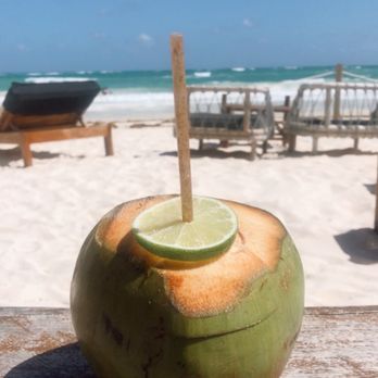 Hotelito Azul Tulum - Fresh coconuts - Hotels Near Me - Tulum, ROO