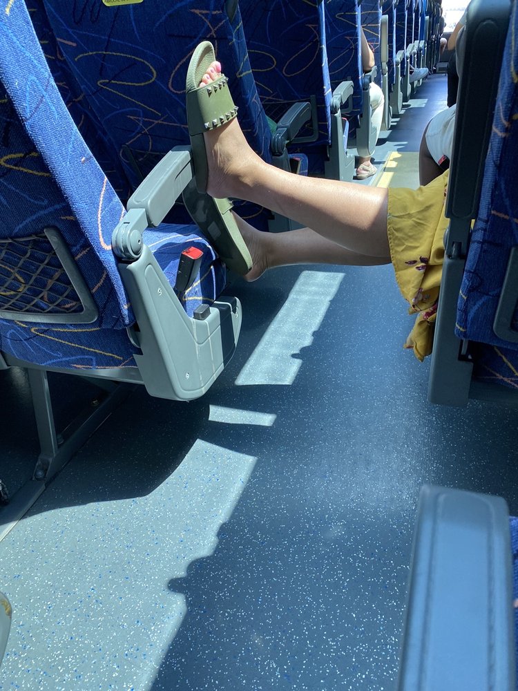 MEGABUS Updated September 2024 60 Photos & 541 Reviews Boston