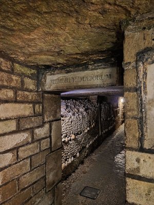 Catacombs of Paris by null