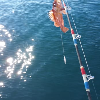Point Loma - Catch of the day had to throw it back though since not in season - Parks Near Me - San Diego, California