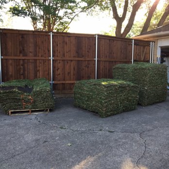 Miller Grass Company - Delivery day! Marked our small portion of Palmetto which was super helpful and appreciated. - Nurseries & Gardening Near Me - Dallas, Texas Miller Grass Company - Delivery day! Marked our small portion of Palmetto which was super helpful and appreciated. - Nurseries & Gardening Near Me - Dallas, Texas