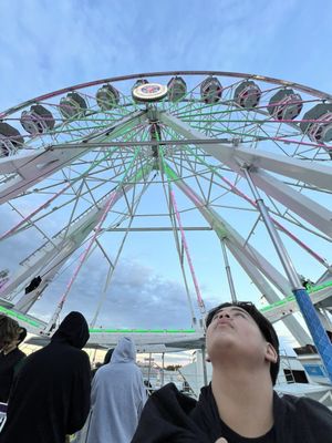 Rodeo Austin by null