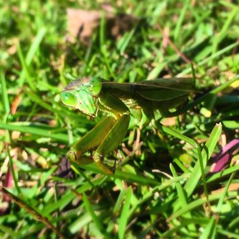 Neuse River Greenway Trail 56 Photos 10 Reviews Parks 6090 Mial Plantation Rd Raleigh Nc