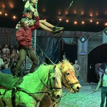 Cirque Ma'Ceo - Venues & Event Spaces Near Me - Lutz, Florida