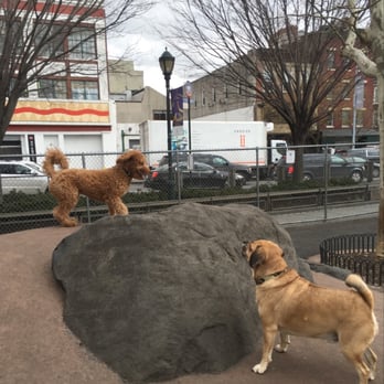Pooch Ventures - Dog Walkers Near Me - New York, New York Pooch Ventures - Dog Walkers Near Me - New York, New York