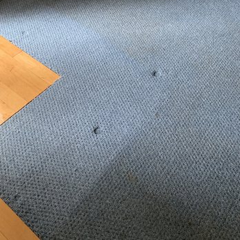 Blessed To Clean SCV - Living room.. This is 3 year old uncleaned carpet you can see the huge difference! - Carpet Cleaning Near Me