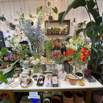 Starflower - Florists Near Me - Portland, Oregon Starflower - Florists Near Me - Portland, Oregon
