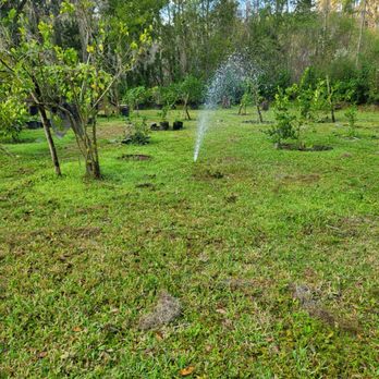 Steve FitzPatrick - a sprinkler spraying water on a lawn - Irrigation Near Me Steve FitzPatrick - a sprinkler spraying water on a lawn - Irrigation Near Me