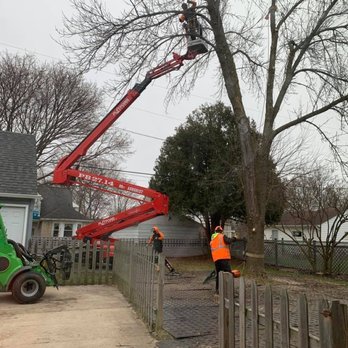 Gollnick & Sons Tree Service - Tree Services Near Me - Cedarburg, Wisconsin Gollnick & Sons Tree Service - Tree Services Near Me - Cedarburg, Wisconsin
