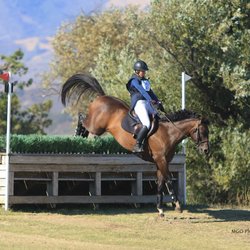 Blue Heart Equestrian