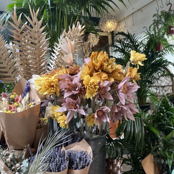 Paraíso Plant Studio - Nurseries & Gardening Near Me - Berkeley, California Paraíso Plant Studio - Nurseries & Gardening Near Me - Berkeley, California