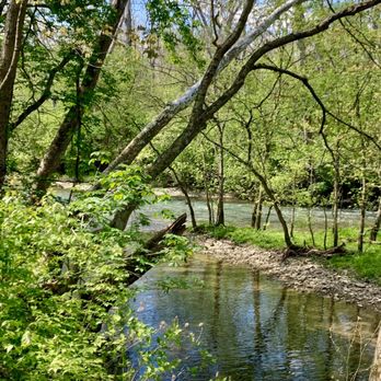 Caesar Creek Gorge State Nature Preserve - The water is high and pleasantly noisy. - Parks Near Me - Oregonia, Ohio Caesar Creek Gorge State Nature Preserve - The water is high and pleasantly noisy. - Parks Near Me - Oregonia, Ohio