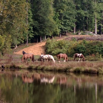 C&C Farm - Horseback Riding Near Me - Louisburg, North Carolina