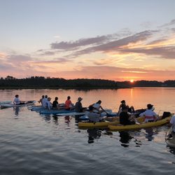 Green Fin Paddle Co. - Sunrise Paddle in the bay.