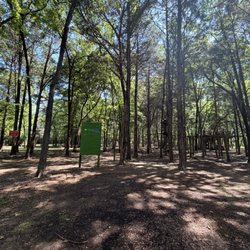 Trinity Forest Adventure Park