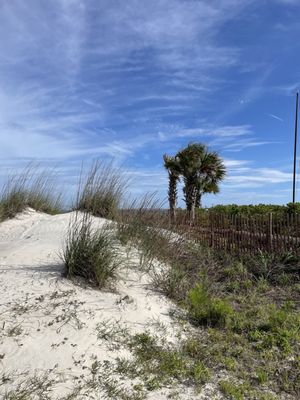 The Sea Pines Resort by null