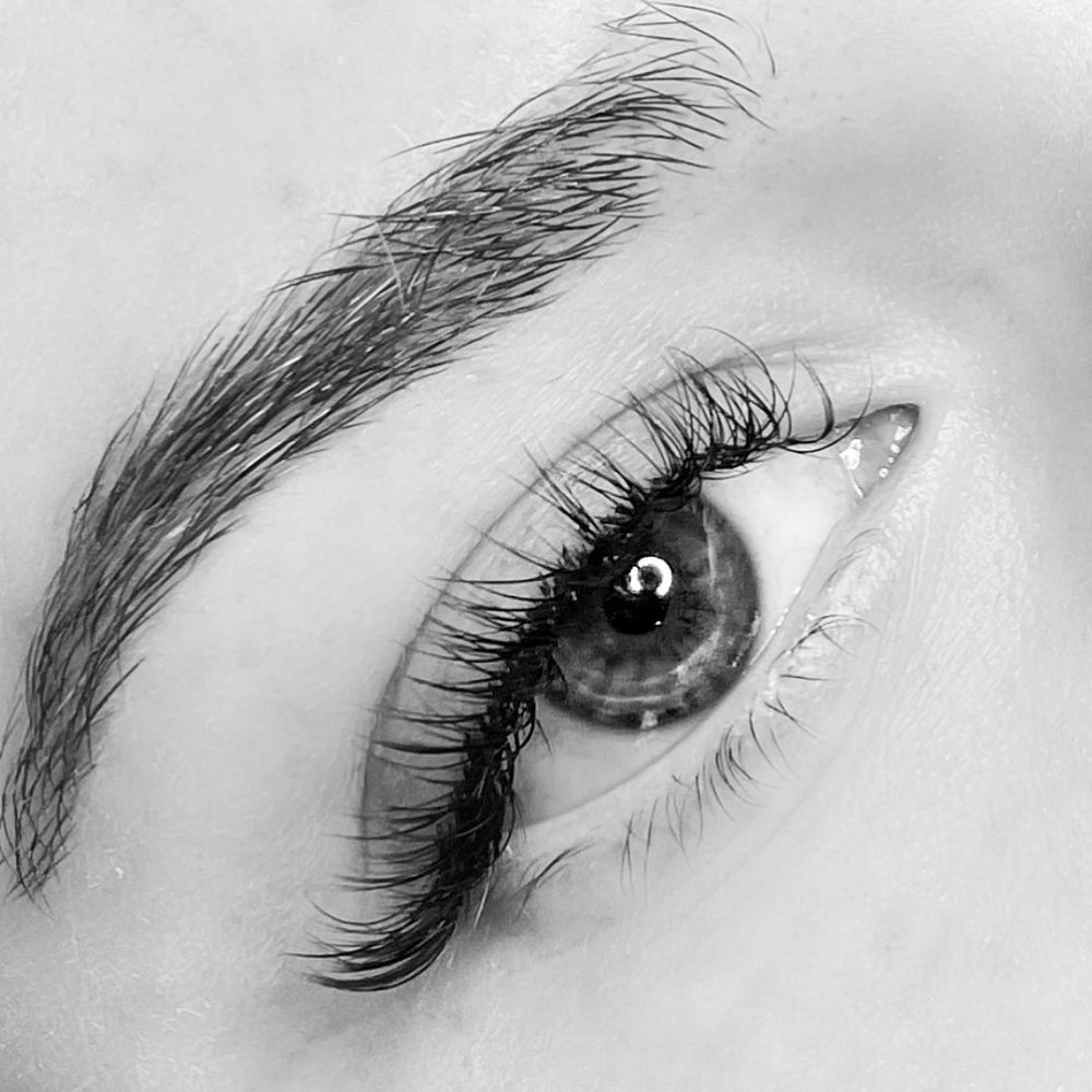 Taylored Lash Logo