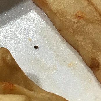 Three Dollar Cafe - Bug in the food - Chicken Wings Near Me - McDonough, Georgia Three Dollar Cafe - Bug in the food - Chicken Wings Near Me - McDonough, Georgia