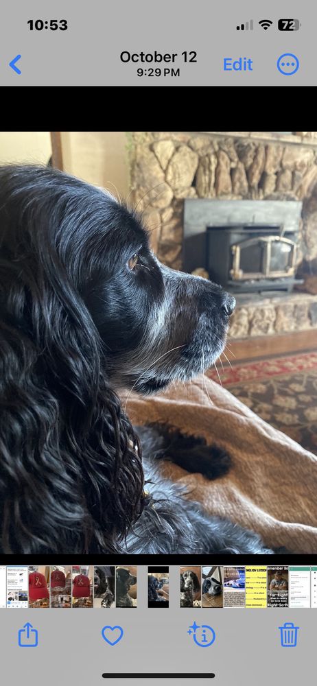 STEVE S PET SHOP Updated October 2025 26 Photos 32 Reviews O 